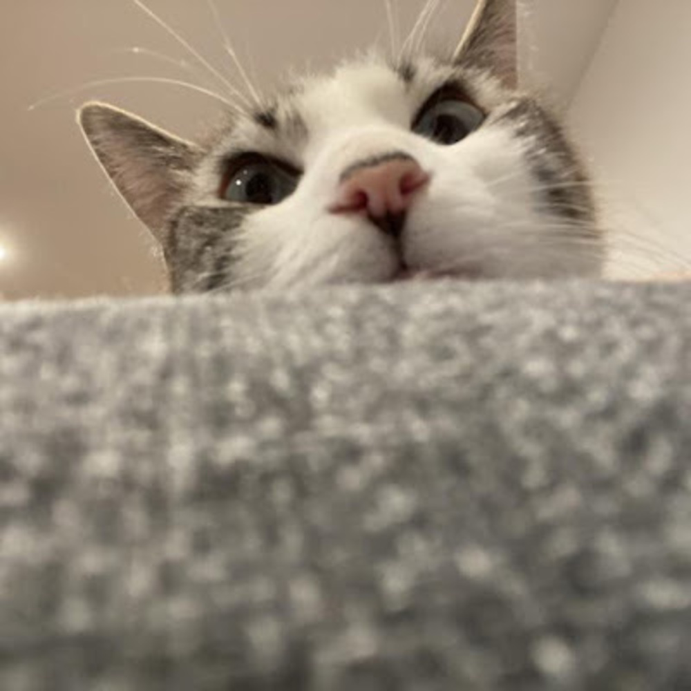 Meet your Posher, Rena